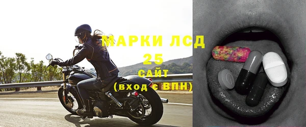 ПСИЛОЦИБИНОВЫЕ ГРИБЫ Белокуриха