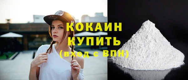 амф Пестово
