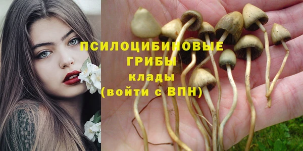 каннабис Беломорск